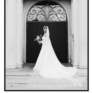 Pronovias Wedding Dress JORY Strapless princess with open back & VEIL